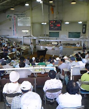 b0058840_13154060.jpg