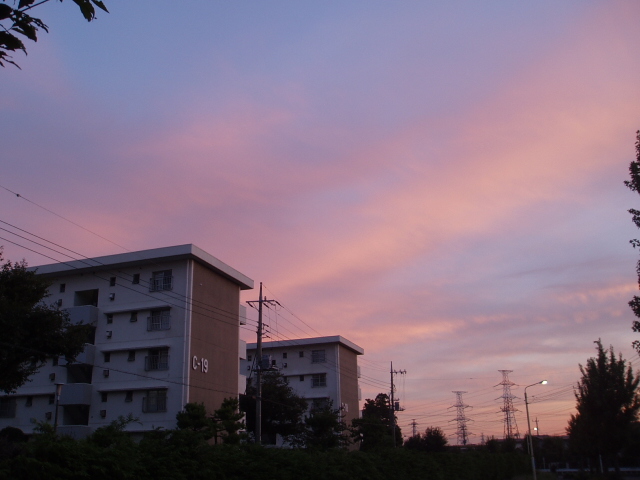 b0061261_20411164.jpg