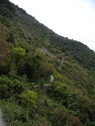 c0032863_17133077.jpg