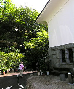 c0009981_11443693.jpg