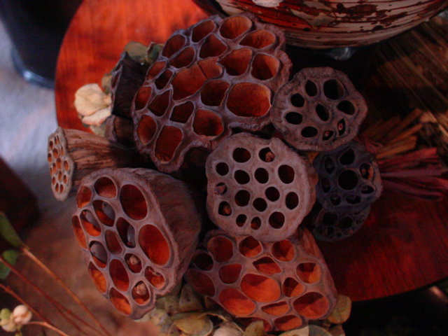 c0069389_17314522.jpg