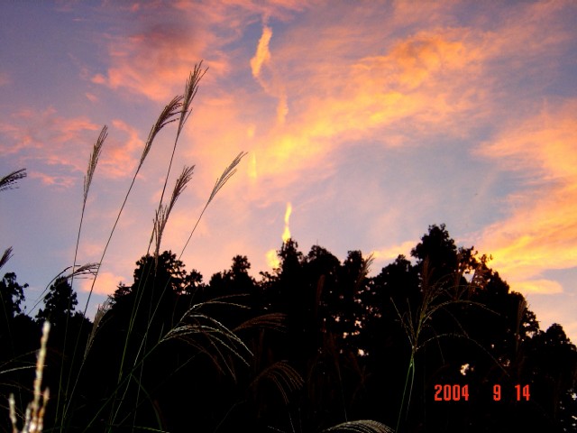 a0005691_20281654.jpg