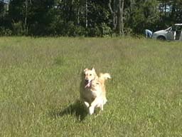c0068693_18382765.jpg
