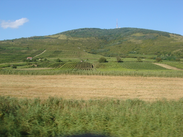 d0032227_16511497.jpg