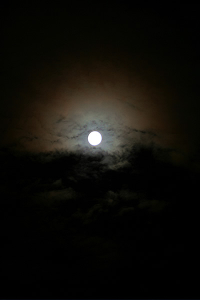 b0063234_21463353.jpg