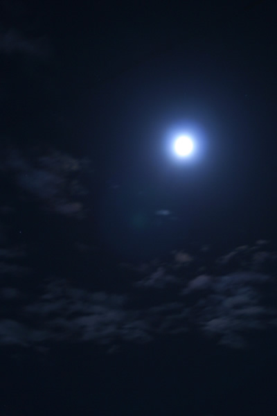b0063234_21473420.jpg