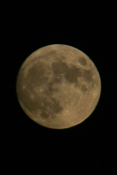 b0063234_2150687.jpg