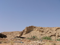 b0038735_1626082.jpg