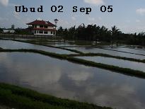 e0009838_2055788.jpg