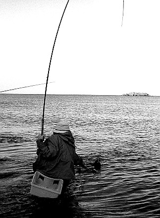 d0029241_18244998.jpg