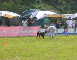 d0013645_2317154.jpg