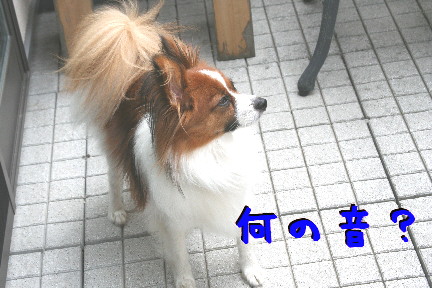d0013149_13231179.jpg
