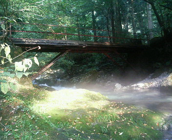 e0023751_2265952.jpg