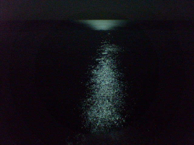 c0055960_43755.jpg