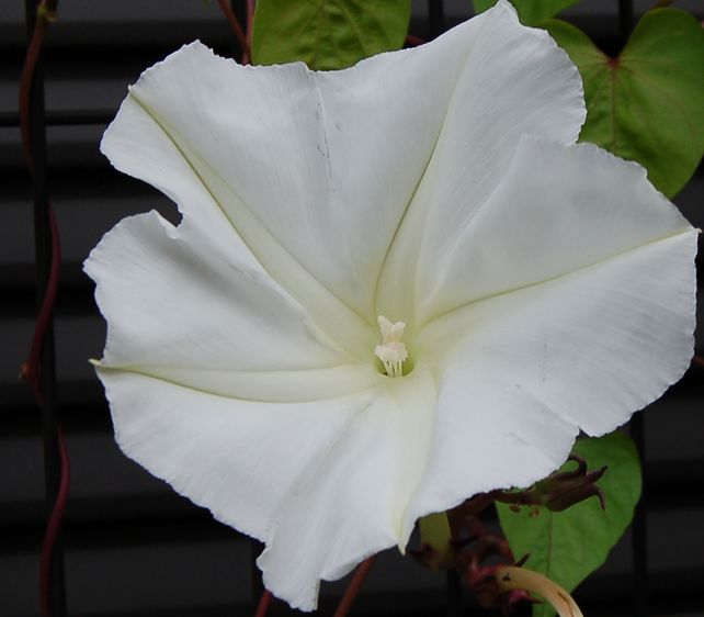 e0053660_17272212.jpg