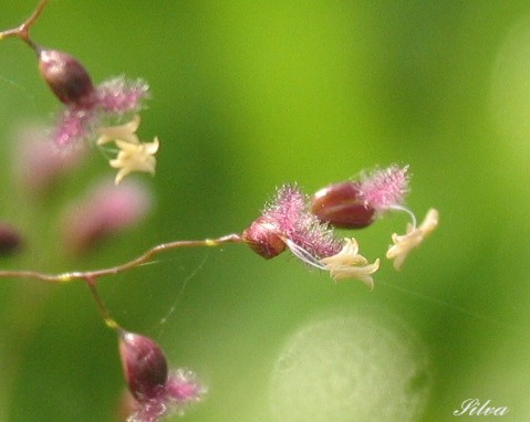 c0039974_0231195.jpg