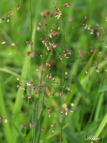 c0039974_0235385.jpg