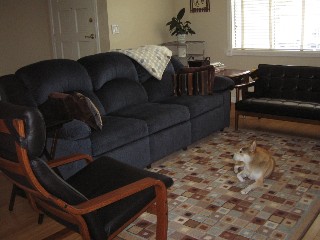 b0043897_962544.jpg