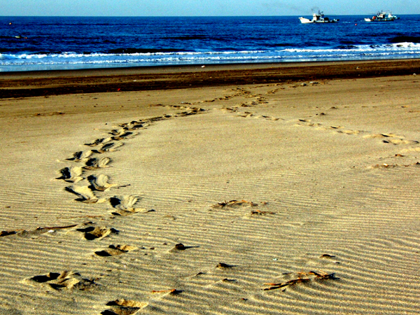 e0017298_2182011.jpg