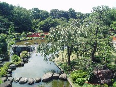 d0003000_10465167.jpg