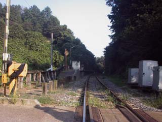 d0004301_2301572.jpg