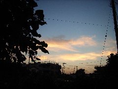 b0025604_10463073.jpg