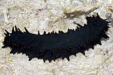 e0057604_18362225.jpg