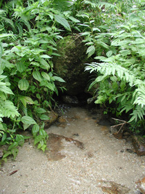 d0051707_8232966.jpg