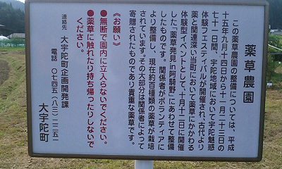 b0051713_19485533.jpg