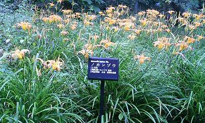b0051713_225151.jpg