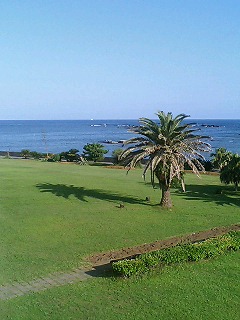 b0068613_15404097.jpg