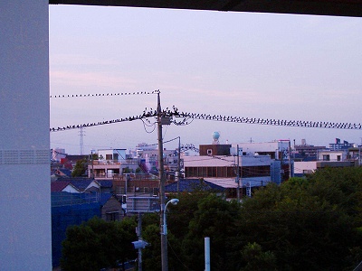 b0006329_2120612.jpg