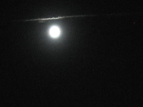 c0035838_14423737.jpg
