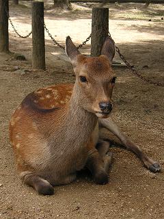 e0022948_10113246.jpg