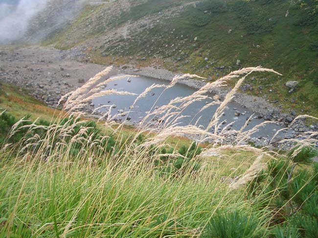 e0002850_21211867.jpg