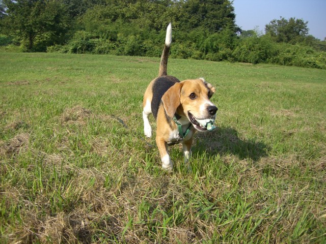 e0007060_2215579.jpg