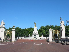 b0039373_082082.jpg