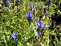 b0004675_21454370.jpg