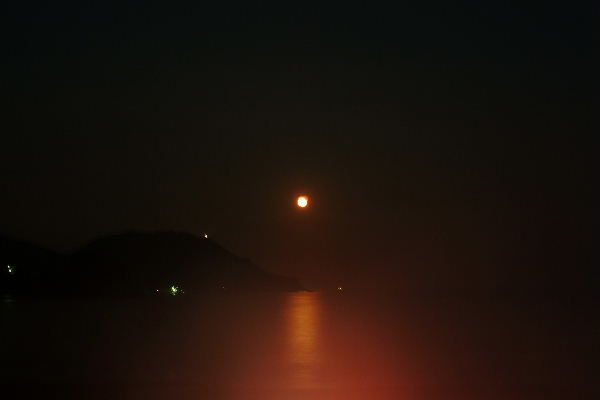b0027880_2146147.jpg