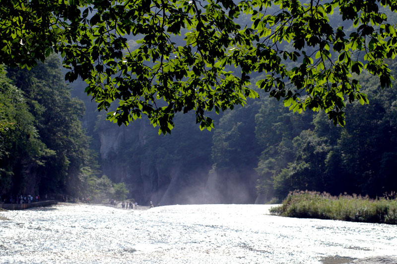 d0034980_22583698.jpg