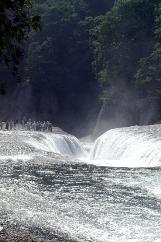 d0034980_23312615.jpg