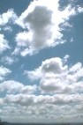 c0032583_2314668.jpg