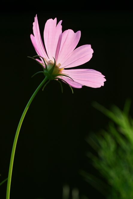 b0061787_22585669.jpg