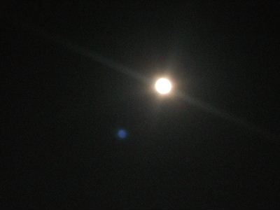 d0031496_228984.jpg