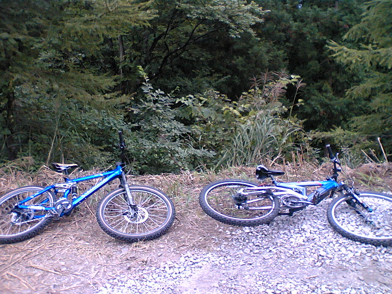 a0028803_220684.jpg