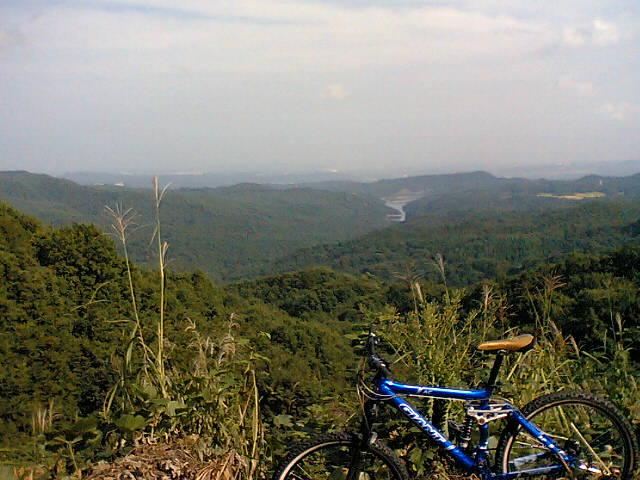 a0028803_221405.jpg