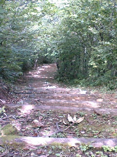 a0028803_2241836.jpg