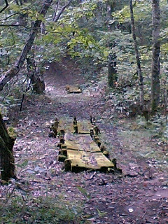 a0028803_224318.jpg