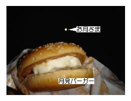 c0011009_12423369.jpg