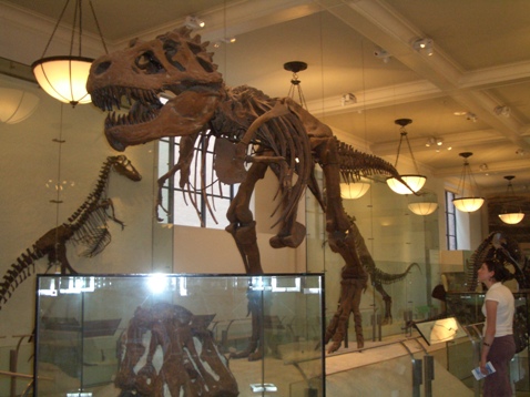 c0019617_2134633.jpg